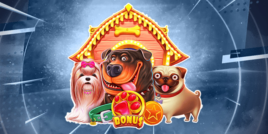 Få 70 Free Spins på The Dog House